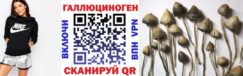 Галлюциногенные грибы Magic Shrooms  Вичуга 