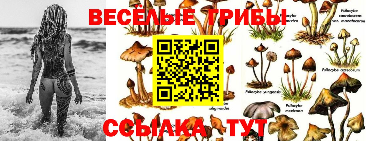 Псилоцибиновые грибы GOLDEN TEACHER  Вход с VPN  Вичуга 